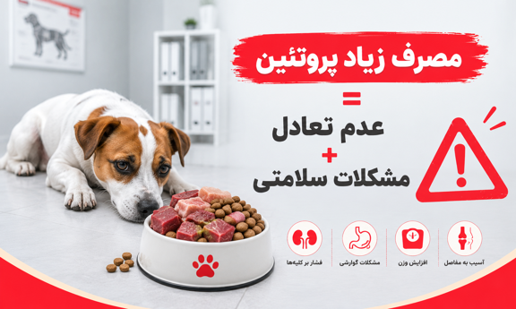 عوارض مصرف بیش از حد پروتئین