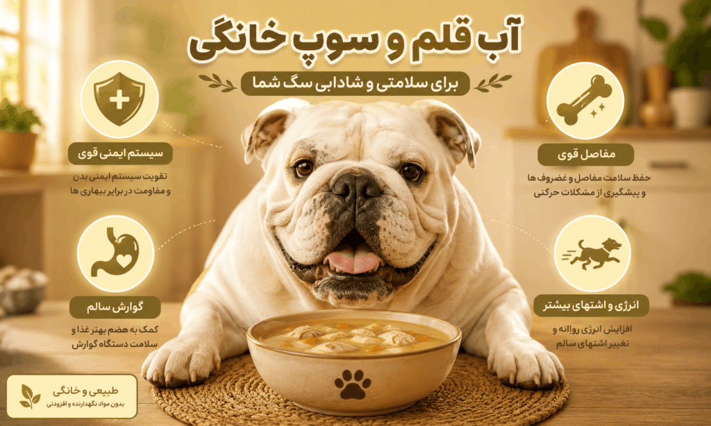 فواید آب قلم برای سگ
