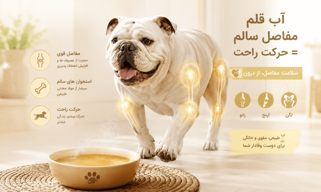آب قلم برای سلامت مفاصل
