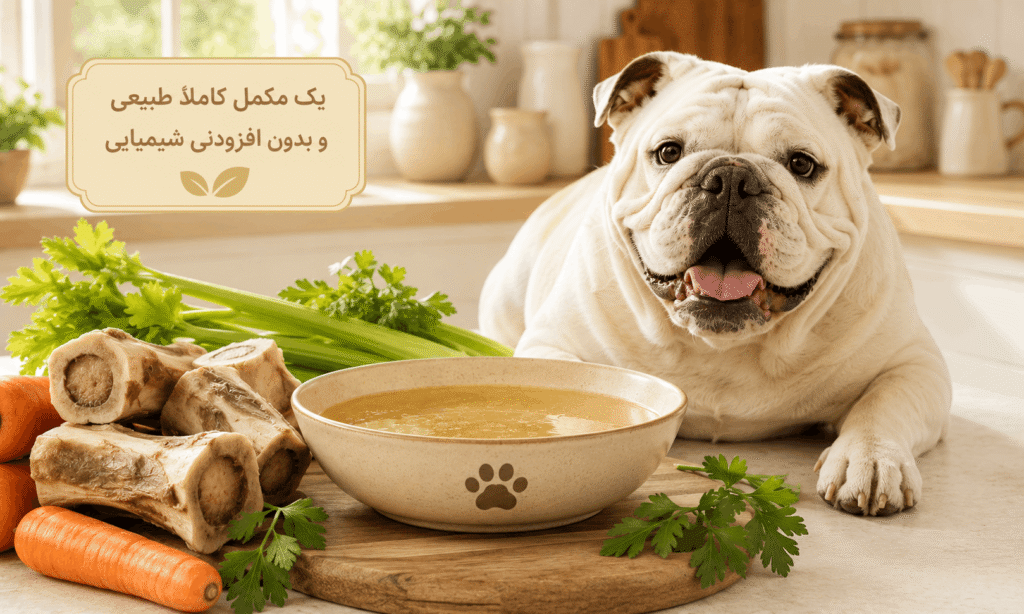 بهترین مکمل غذایی طبیعی برای سگ
