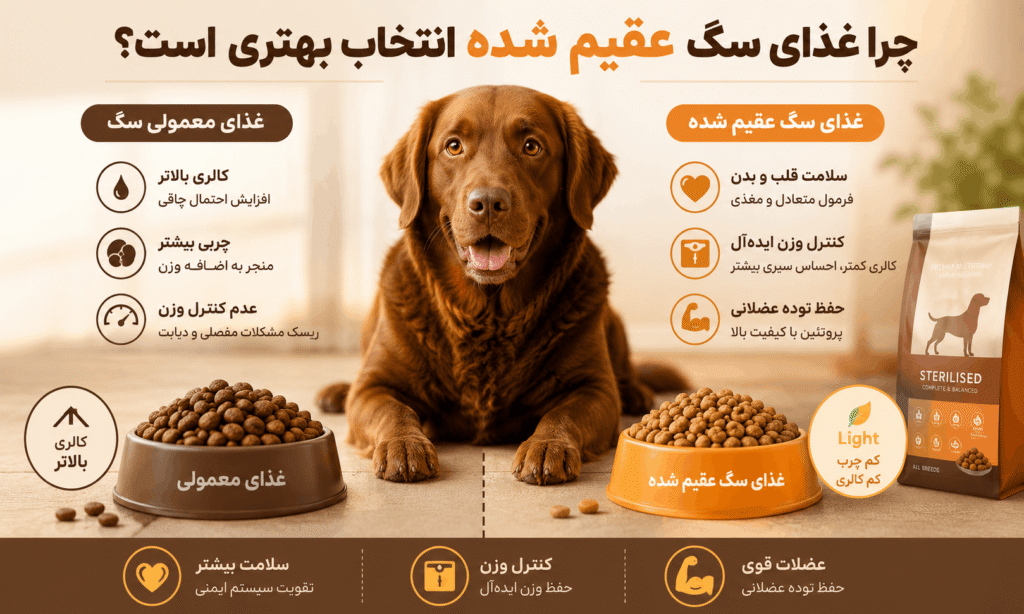 چرا سگ عقیم شده به غذای مخصوص نیاز دارد؟