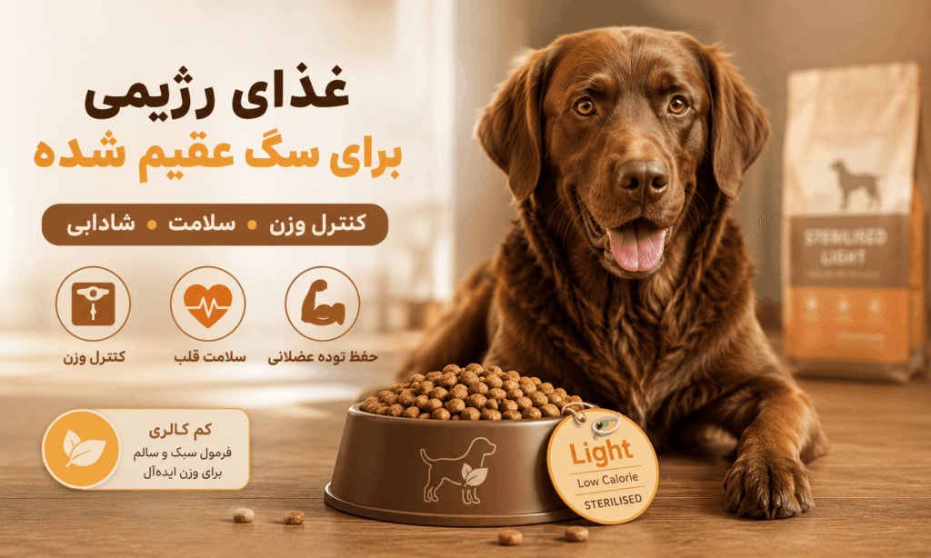 غذای رژیمی برای سگ عقیم شده