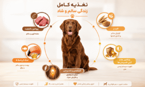 مواد مغذی مورد نیاز سگ عقیم شده