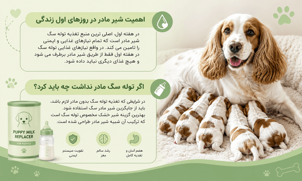 اگر توله سگ مادر نداشت چه باید کرد؟