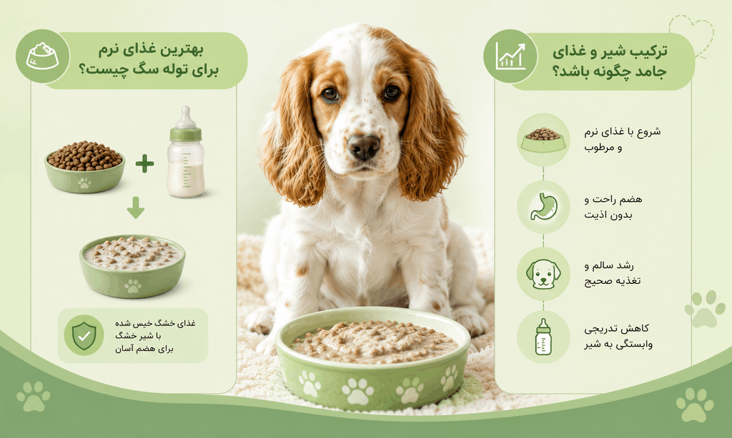 ترکیب شیر و غذای جامد سگ