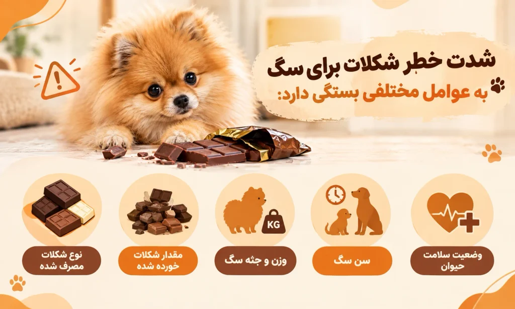 چرا شکلات برای سگ خطرناک است؟