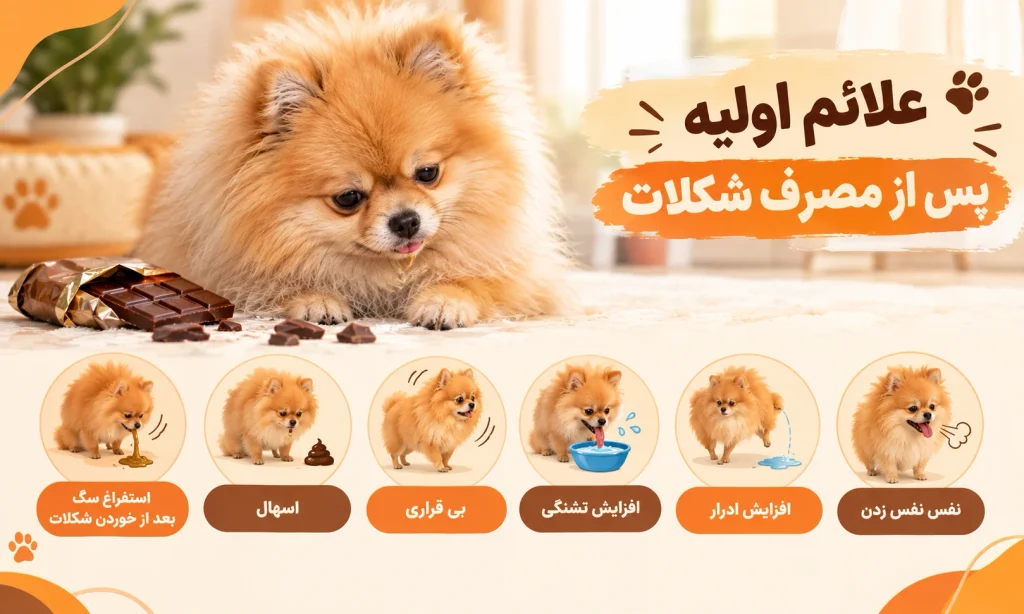 علائم اولیه پس از مصرف شکلات در سگ