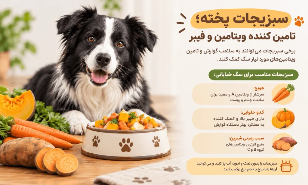 سبزیجات پخته برای سگ خیابانی
