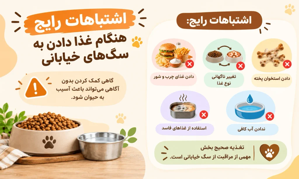 اشتباهات رایج برای غذا دادن به سگ‌های خیابانی
