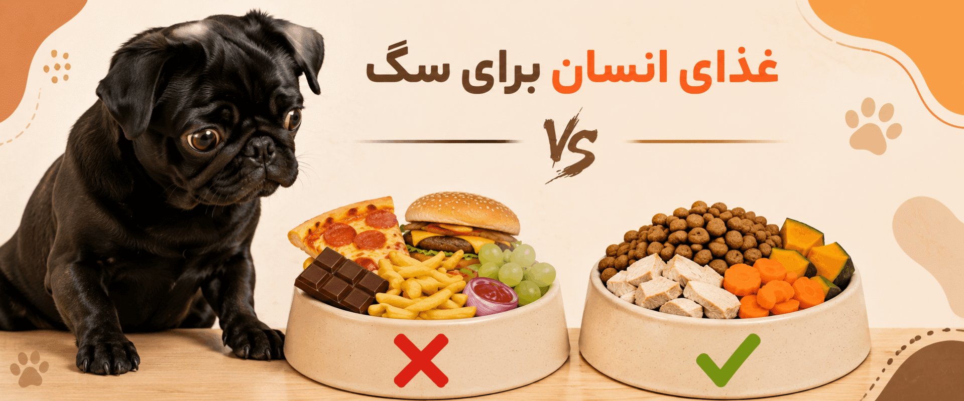 آیا غذای انسان برای سگ مناسب است؟