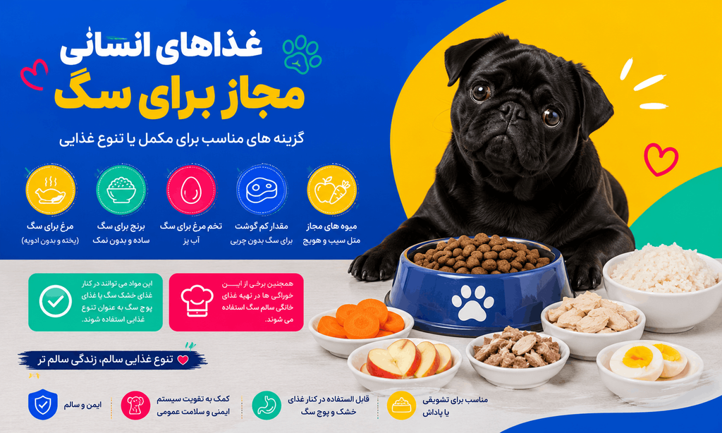 غذاهای انسانی مجاز برای سگ
