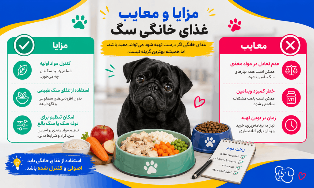 مزایا و معایب غذای خانگی سگ