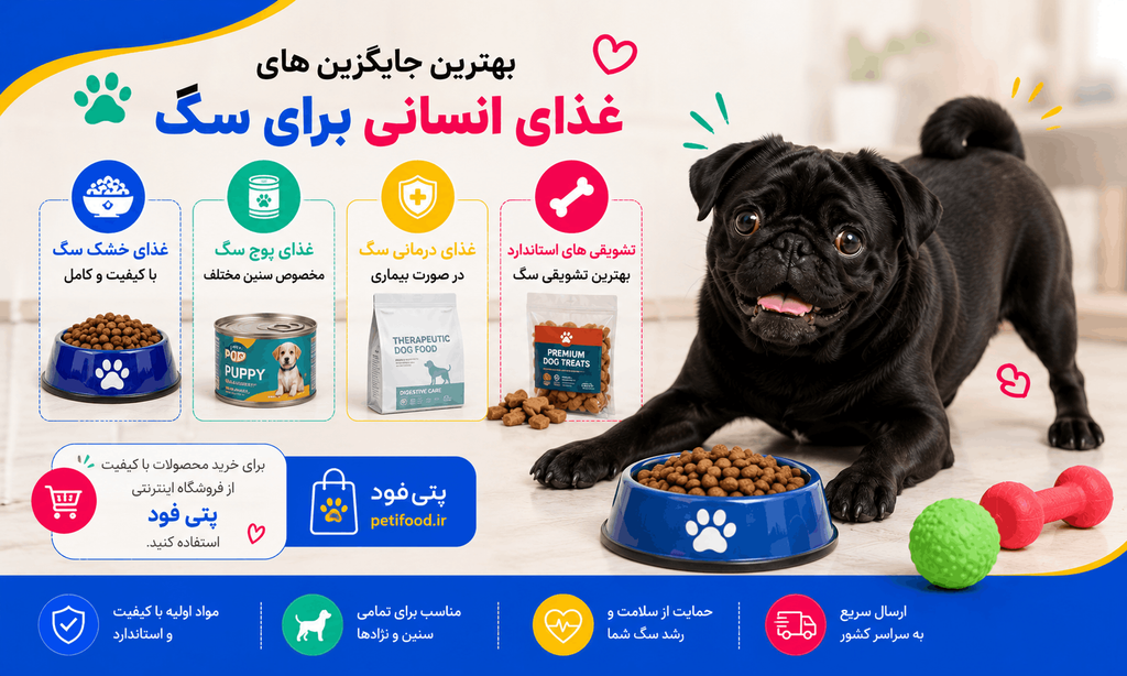بهترین جایگزین های غذای انسانی برای سگ