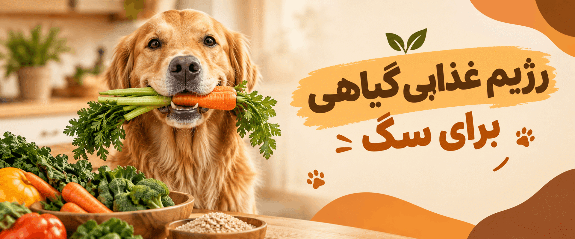7 نکته مهم درباره رژیم غذایی گیاهی یا وگان برای سگ‌ها؛ مزایا، معایب و آیا این رژیم سالم است؟