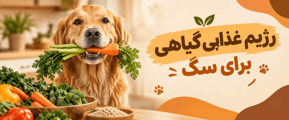 7 نکته مهم درباره رژیم غذایی گیاهی یا وگان برای سگ‌ها؛ مزایا، معایب و آیا این رژیم سالم است؟