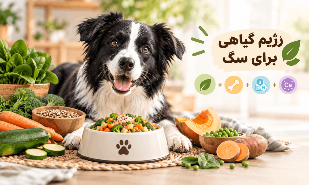 رژیم غذایی گیاهی برای سگ