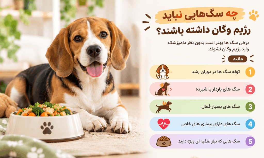 چه سگ‌هایی نباید رژیم وگان داشته باشند؟