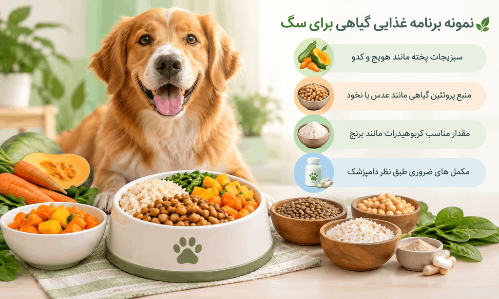 برنامه غذایی گیاهی برای سگ